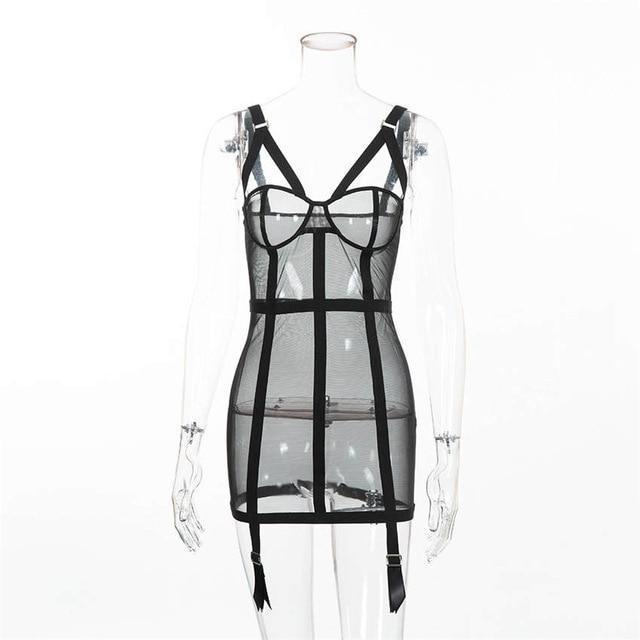 Too Hot To Handle Mesh Mini Dress