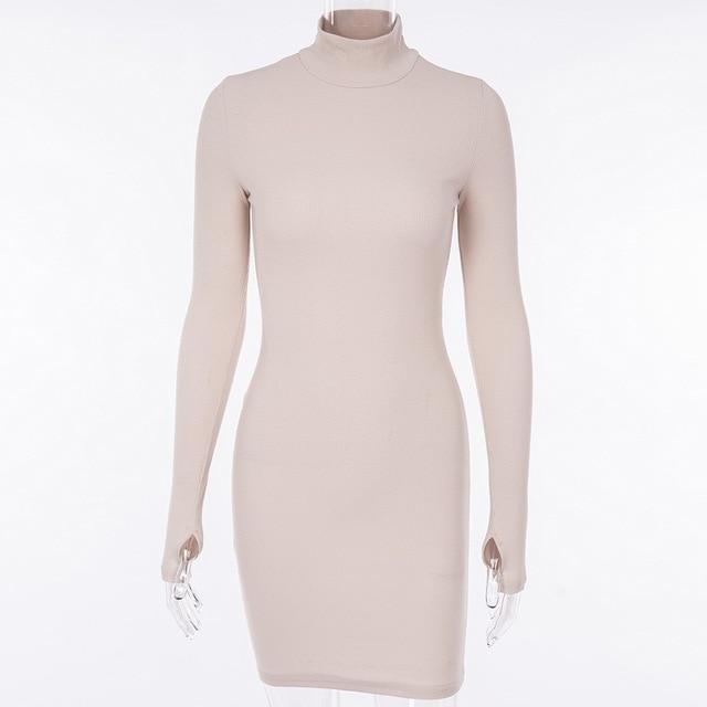 Aubree Ribbed Turtleneck Dress