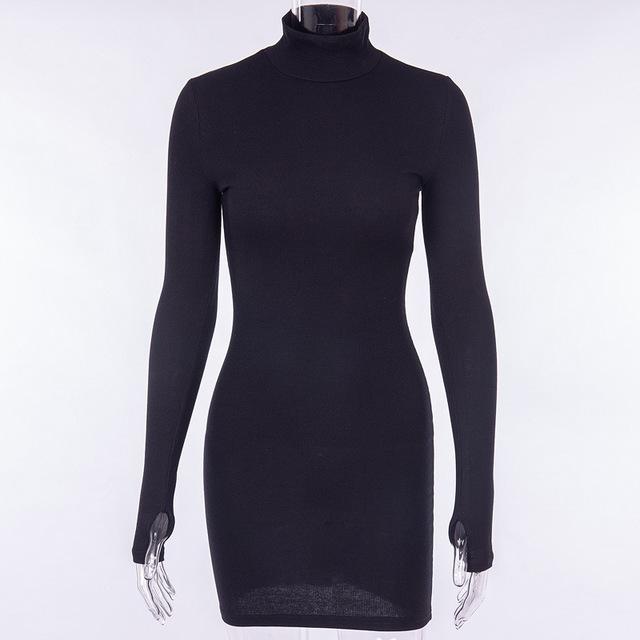 Aubree Ribbed Turtleneck Dress